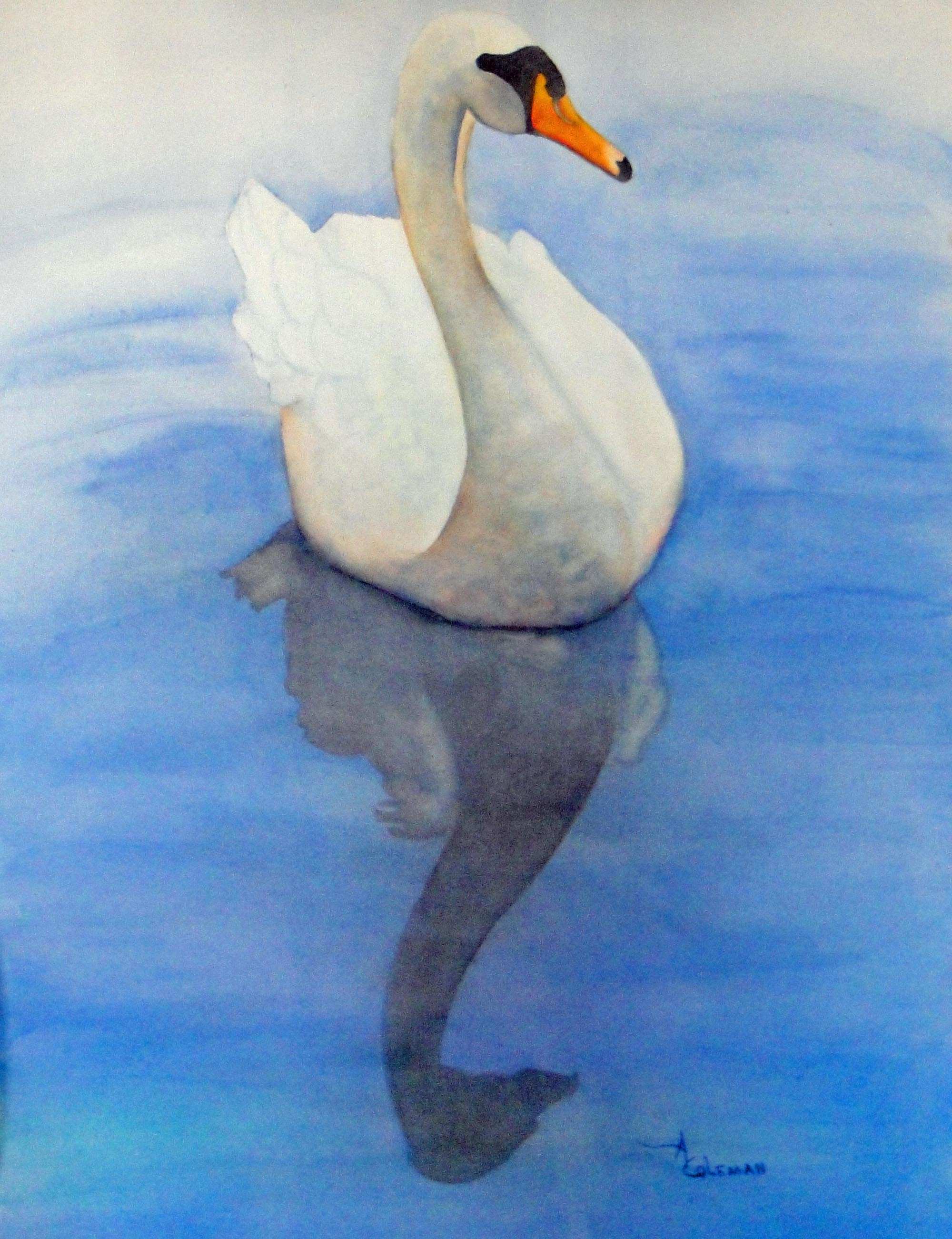 2000x2602 Swan Painting Best Of Watercolors Painting Ideas - Swan Watercolor