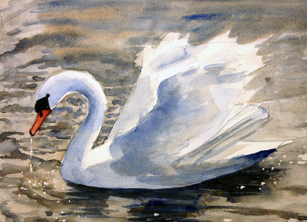1000x725 Thirsty Swan - Swan Watercolor