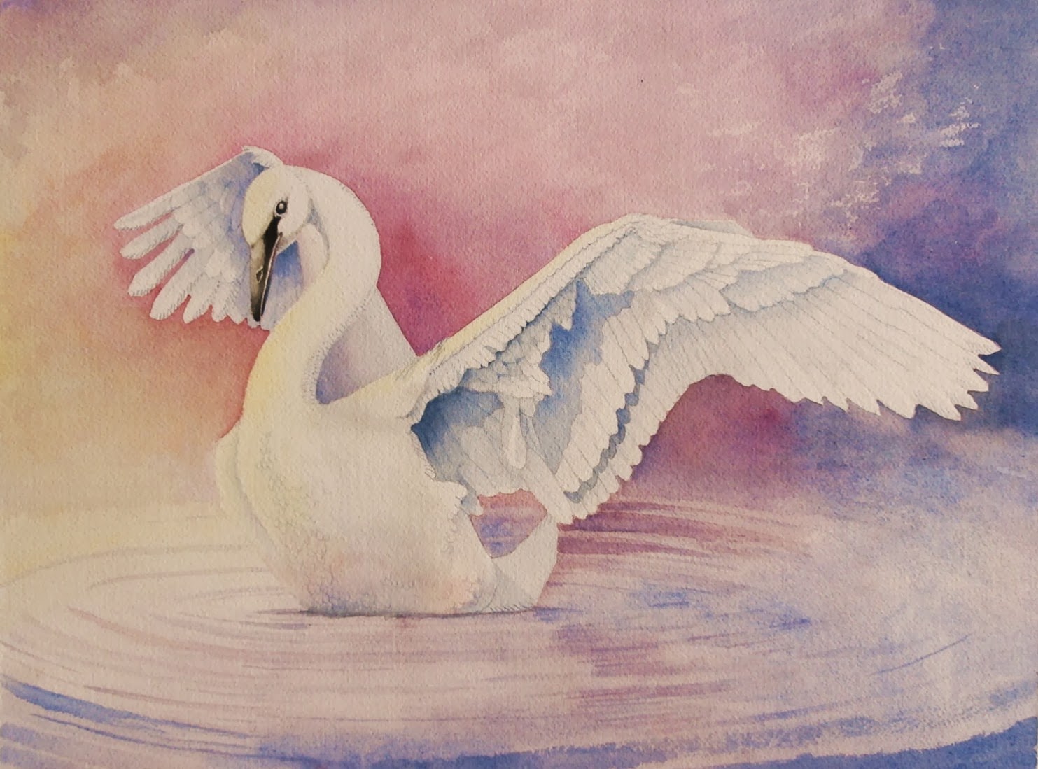 1483x1099 Tom Bose Watercolors Trumpeter Swan Watercolor - Swan Watercolor