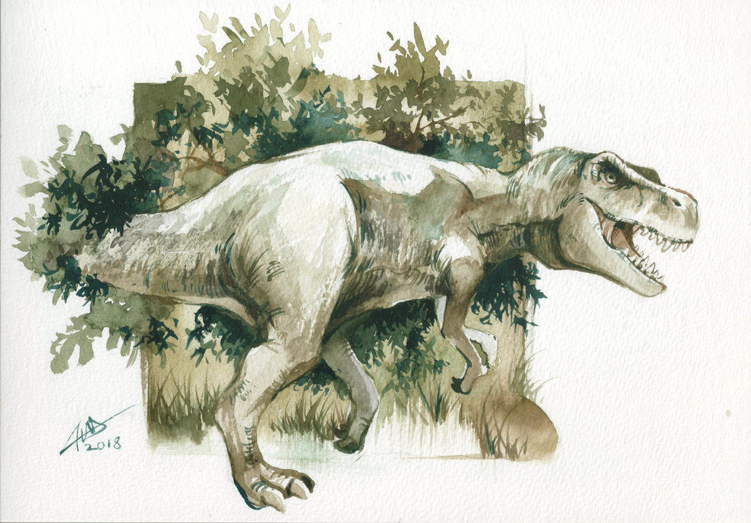 1070x746 Tyrannosaurus Rex Watercolor By Chuaenghan - T Rex Watercolor