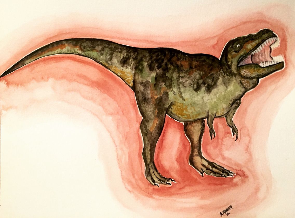 1136x840 Dinosaur, T Rex, Watercolor, Art, Painting, A.mynhier Watercolor - T Rex Watercolor
