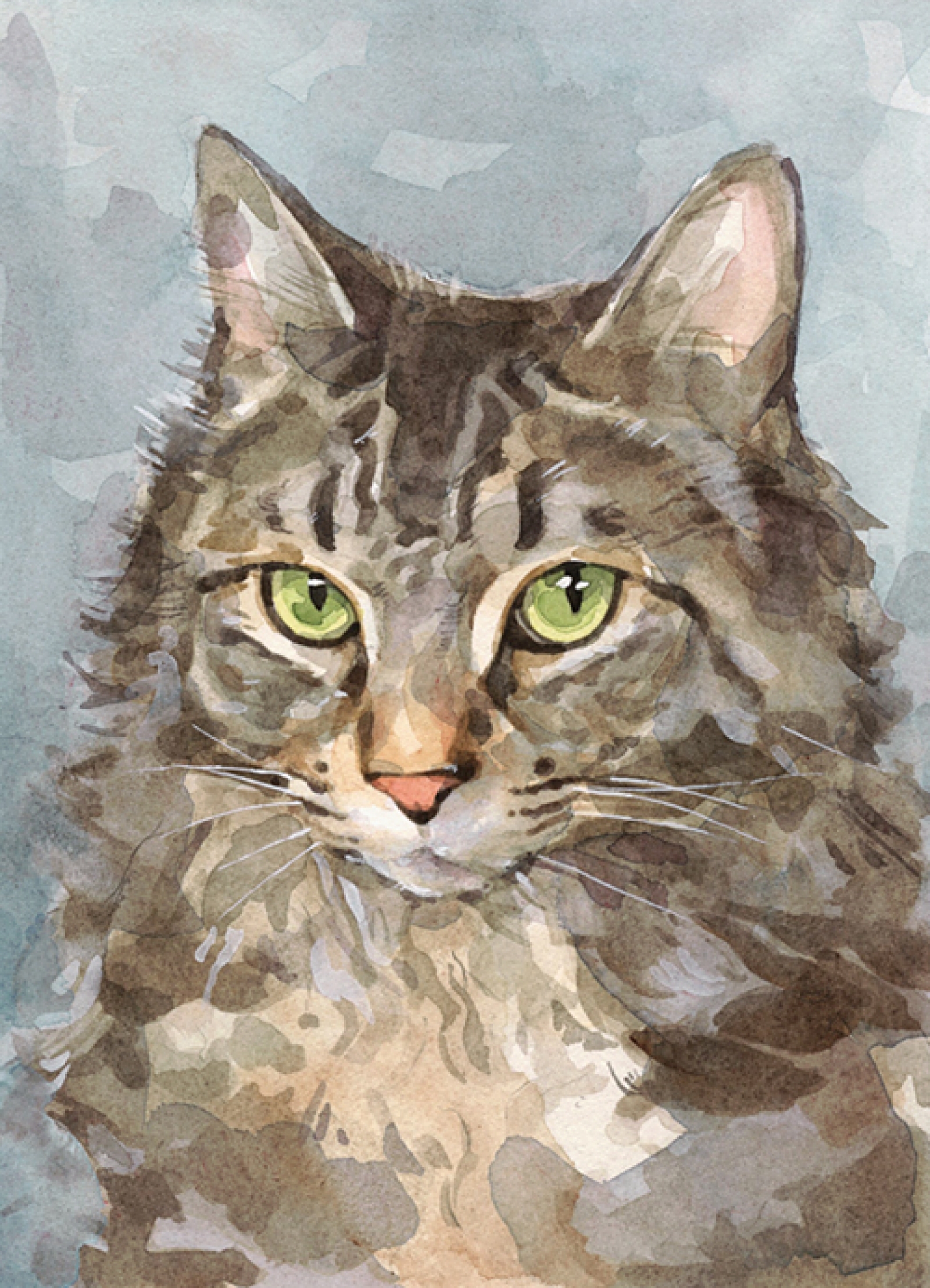 Tabby Cat Watercolor at PaintingValley.com | Explore collection of ...