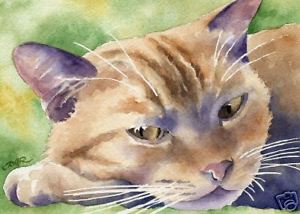 300x214 Orange Tabby Cat Watercolor 11 X 14 Art Signed Djr Ebay - Tabby Cat Watercolor