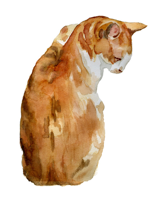 600x780 Orange Watercolor Tabby Cat By Ryliecat - Tabby Cat Watercolor