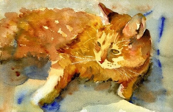 570x368 Orange Ginger Tabby Cat Watercolor Painting Cat Art Cat Etsy - Tabby Cat Watercolor