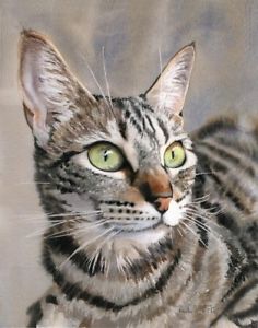 236x300 Tabby Cat Art Painting Print Watercolor Portrait Realistic Realism - Tabby Cat Watercolor
