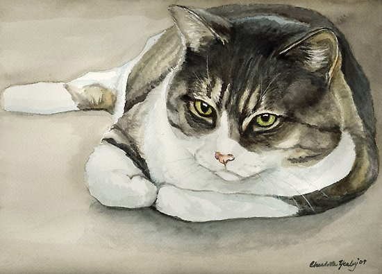 550x395 Tubby Tabby Cat Watercolor Painting Posters By Charlotte Yealey - Tabby Cat Watercolor