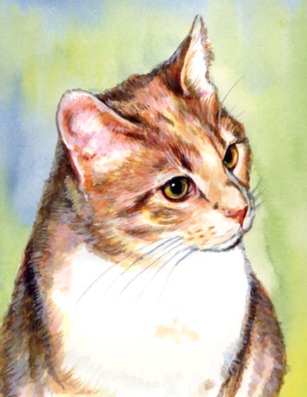 432x559 Watercolor Cat Paintings By Carol Wells - Tabby Cat Watercolor