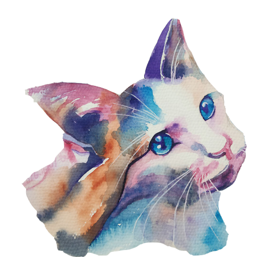 502x502 Whiskers Tabby Cat Kitten Domestic Short Haired Cat - Tabby Cat Watercolor