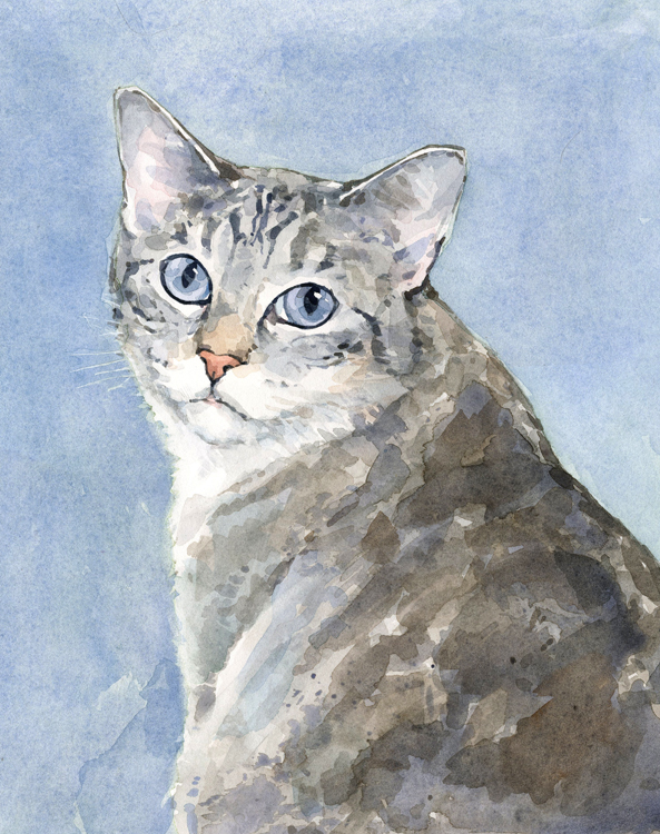 593x750 Cat Watercolor Paintings - Tabby Cat Watercolor