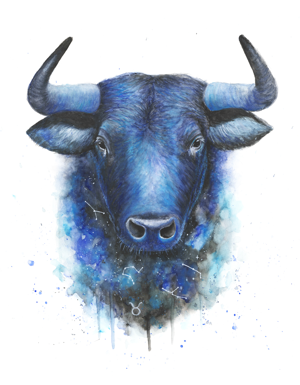 1000x1282 Taurus - Taurus Watercolor