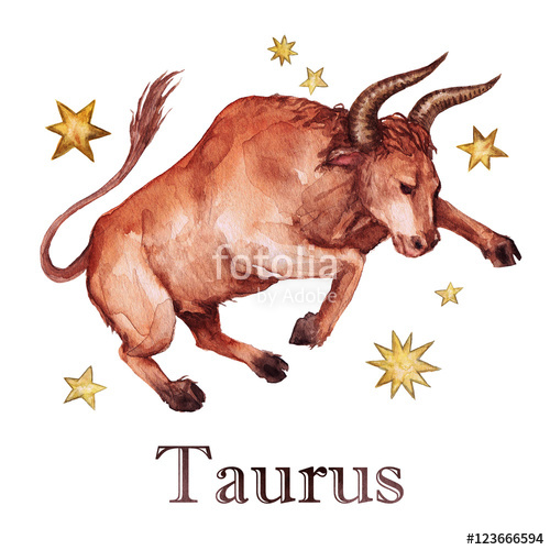 500x500 Zodiac Sign - Taurus Watercolor