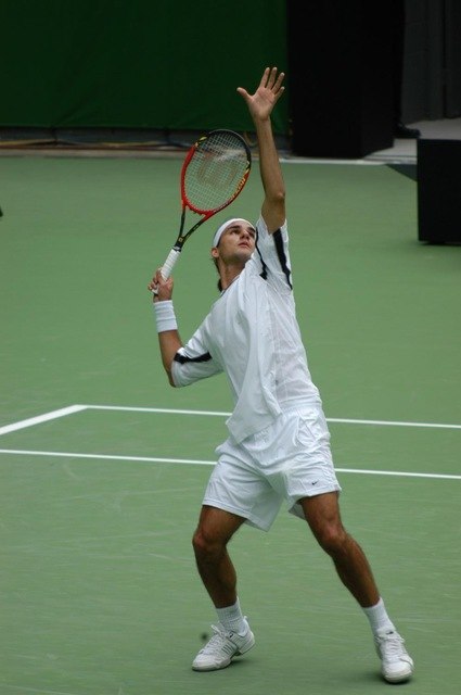 425x640 Roger Federer Tennis Star Watercolor Inkjet Fabric Poster 20x13 - Tennis Watercolor