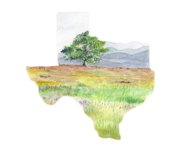 642x514 Texas Watercolor State Art Print Texas Map Print Texas Wall Etsy - Texas Watercolor