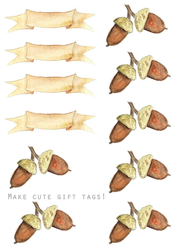 570x807 Thanksgiving Watercolor Clipart Diy Menu Cards Gift Tags Recipe - Thanksgiving Watercolor