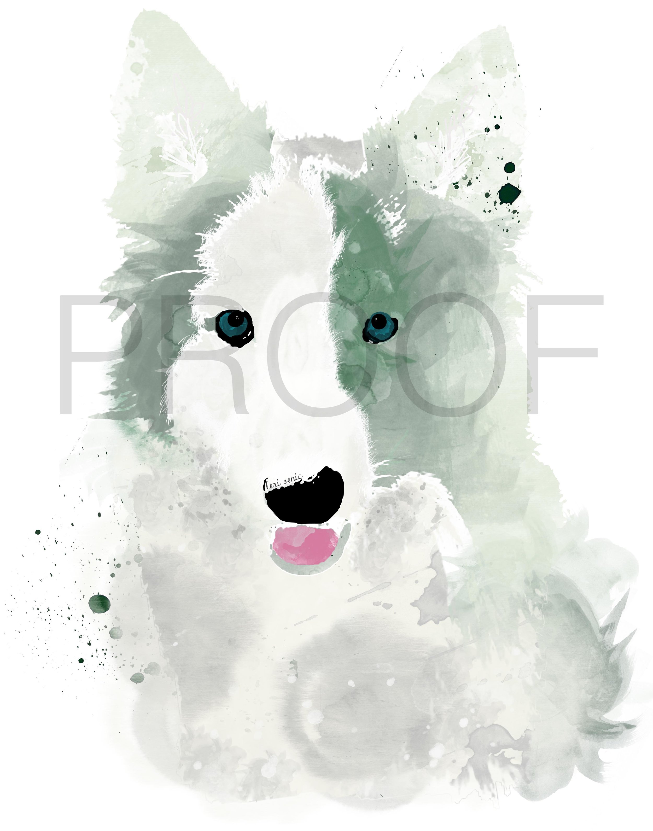 2500x3182 Border Collie Watercolor Dog Portrait Thor Free In The Lines - Thor Watercolor