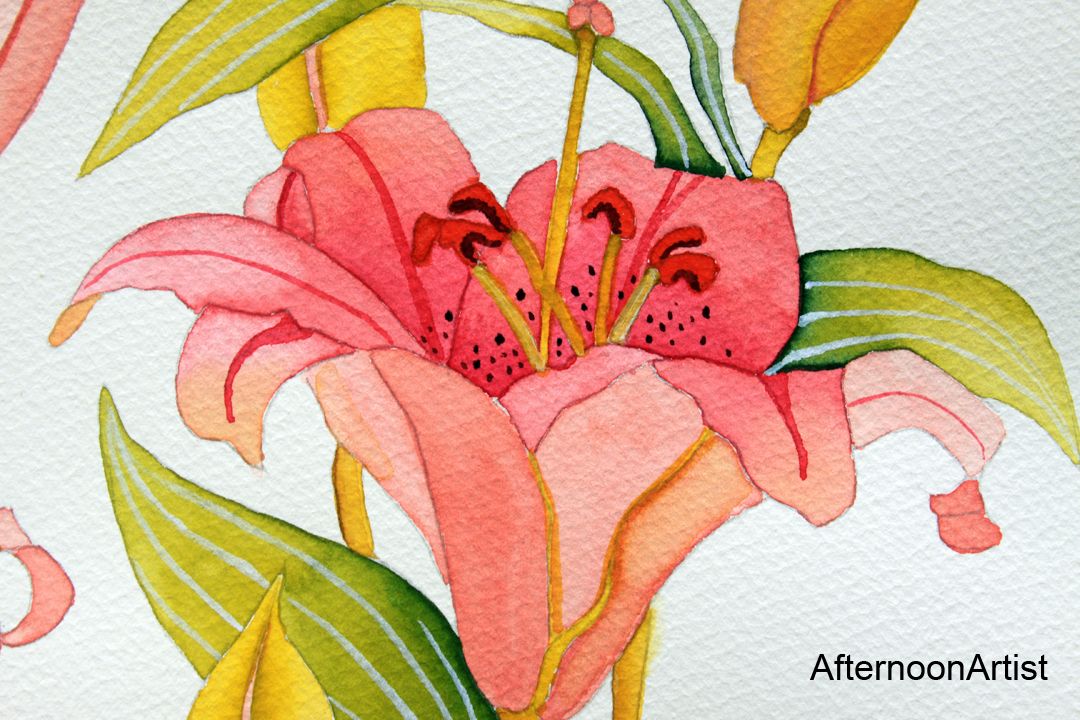 1080x720 Pink Lilies In Watercolor Afternoon Artist - Tiger Lily Watercolor