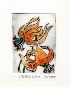 240x300 Tiger Lillies Original Watercolor Etching Signed Miniature Lily - Tiger Lily Watercolor