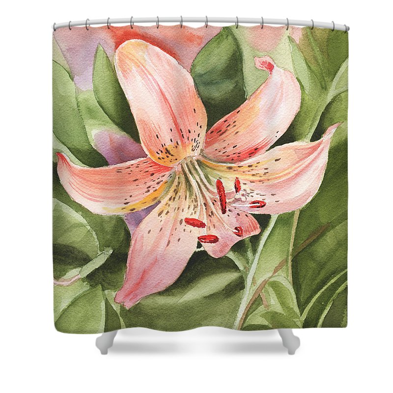 800x800 Tiger Lily Watercolor By Irina Sztukowski Shower Curtain For Sale - Tiger Lily Watercolor