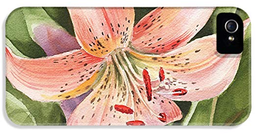 522x273 Iphone 5s Slim Case Tiger Lily Watercolor By Irina - Tiger Lily Watercolor