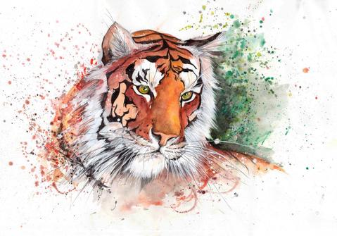 479x335 Tiger - Tiger Watercolor