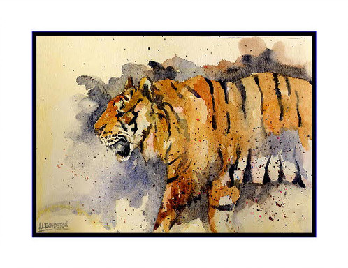 498x384 Tiger Watercolor Note Cards - Tiger Watercolor