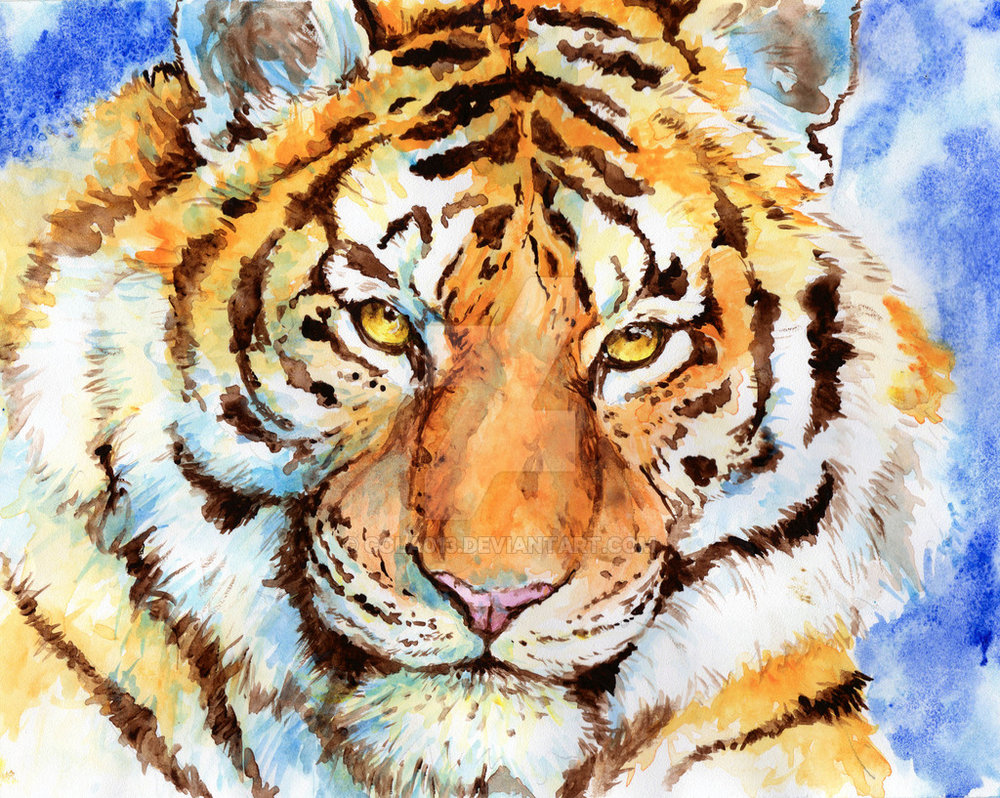 1000x798 Tiger Watercolor Test By Cola013 - Tiger Watercolor