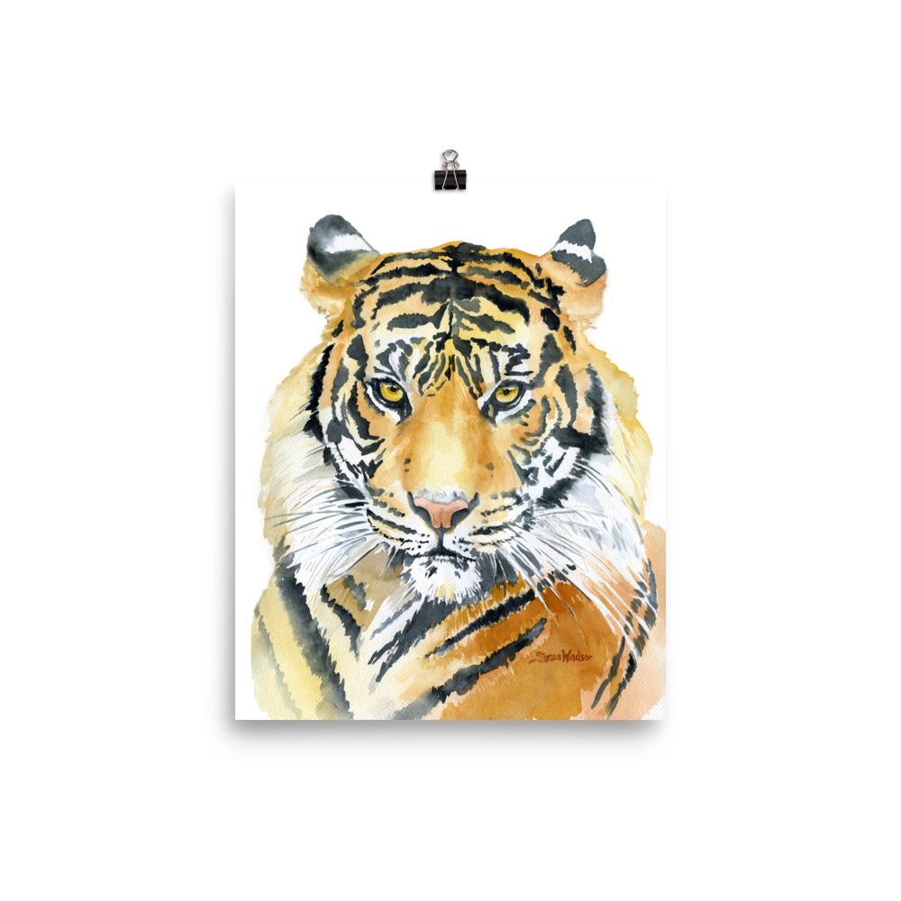 1000x1000 Tiger Watercolor Susan Windsor - Tiger Watercolor