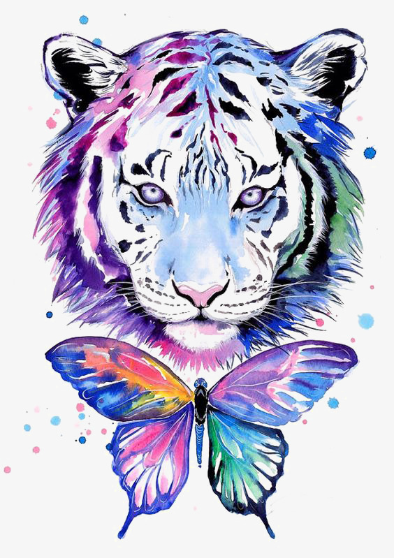 564x799 Watercolor Tiger Png Images Vectors And Psd Files Free - Tiger Watercolor