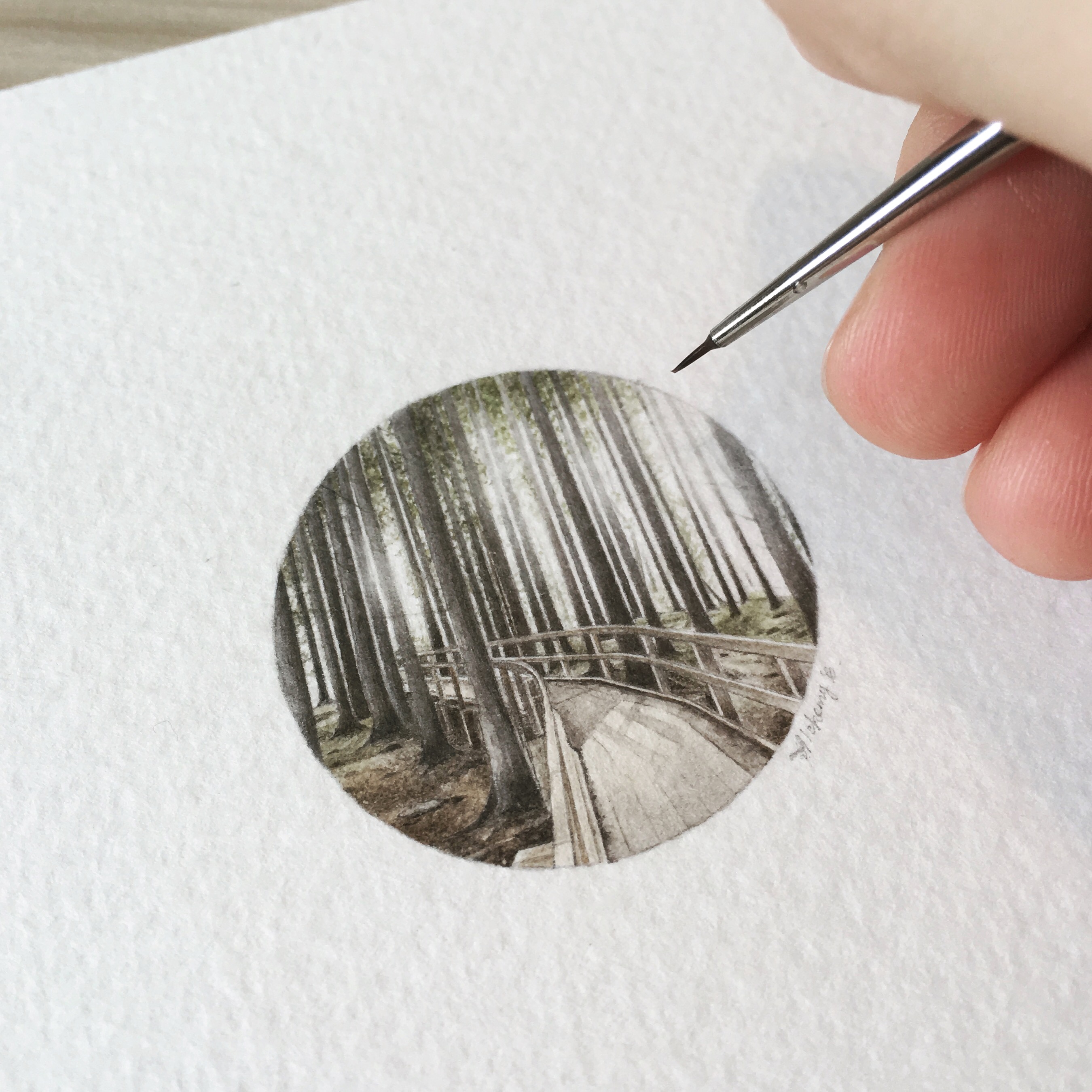 2700x2700 Tiny Watercolor Painting - Tiny Watercolor