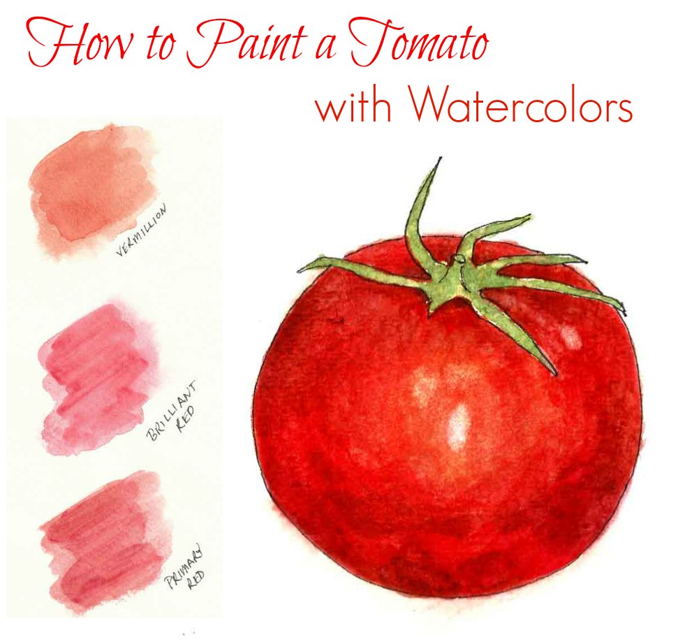 981x922 How To Paint A Tomato With Watercolors - Tomato Watercolor