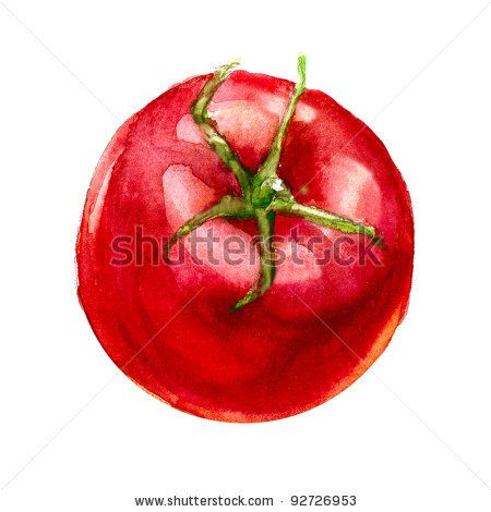 450x470 Tomato Watercolor Paintings Tomato. Watercolor Painting On White - Tomato Watercolor