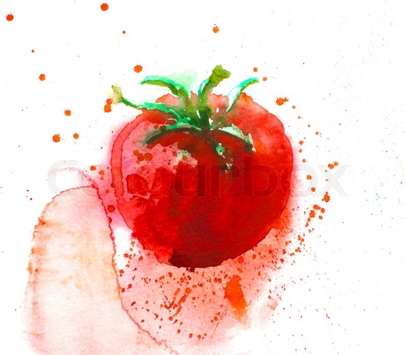 800x701 Tomato Watercolor Style Stock Photo Colourbox - Tomato Watercolor