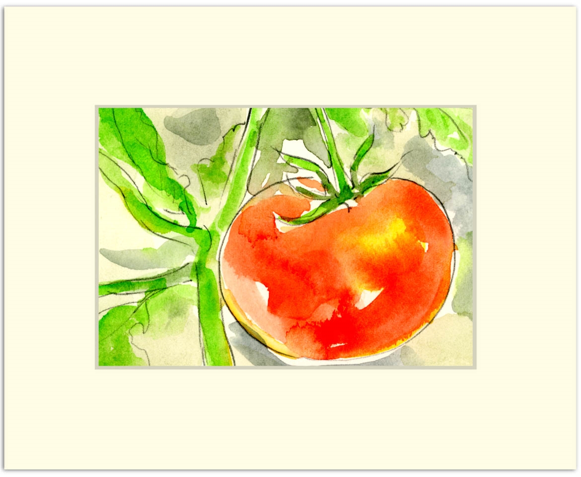 1170x960 Tomato. Watercolor Painting Of A Tomato On A Vine. Created By Rich Lo - Tomato Watercolor