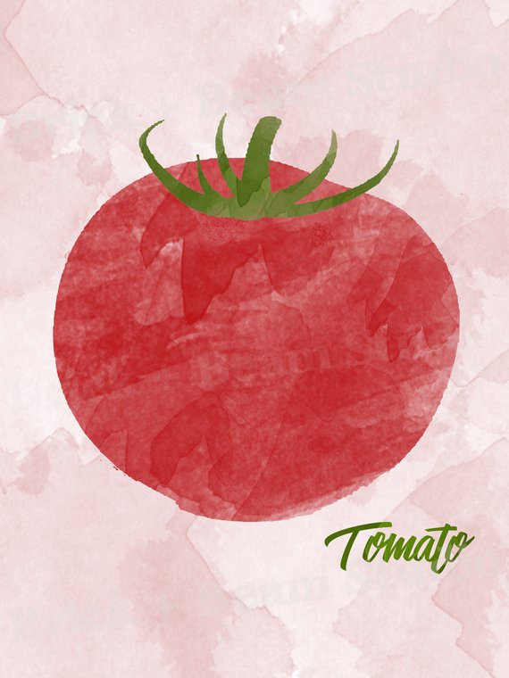 570x760 Tomato Art Print Tomato Watercolor Gift For Cook Tomato Etsy - Tomato Watercolor