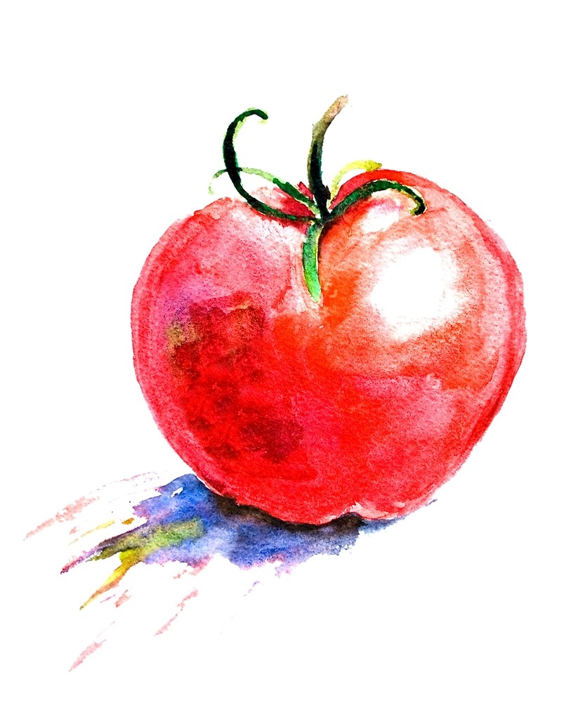 833x1000 Watercolor Tomato By Thebagindaz Redbubble - Tomato Watercolor