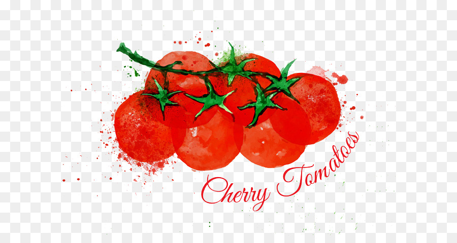 900x480 Cherry Tomato Watercolor Painting Lettuce Illustration - Tomato Watercolor