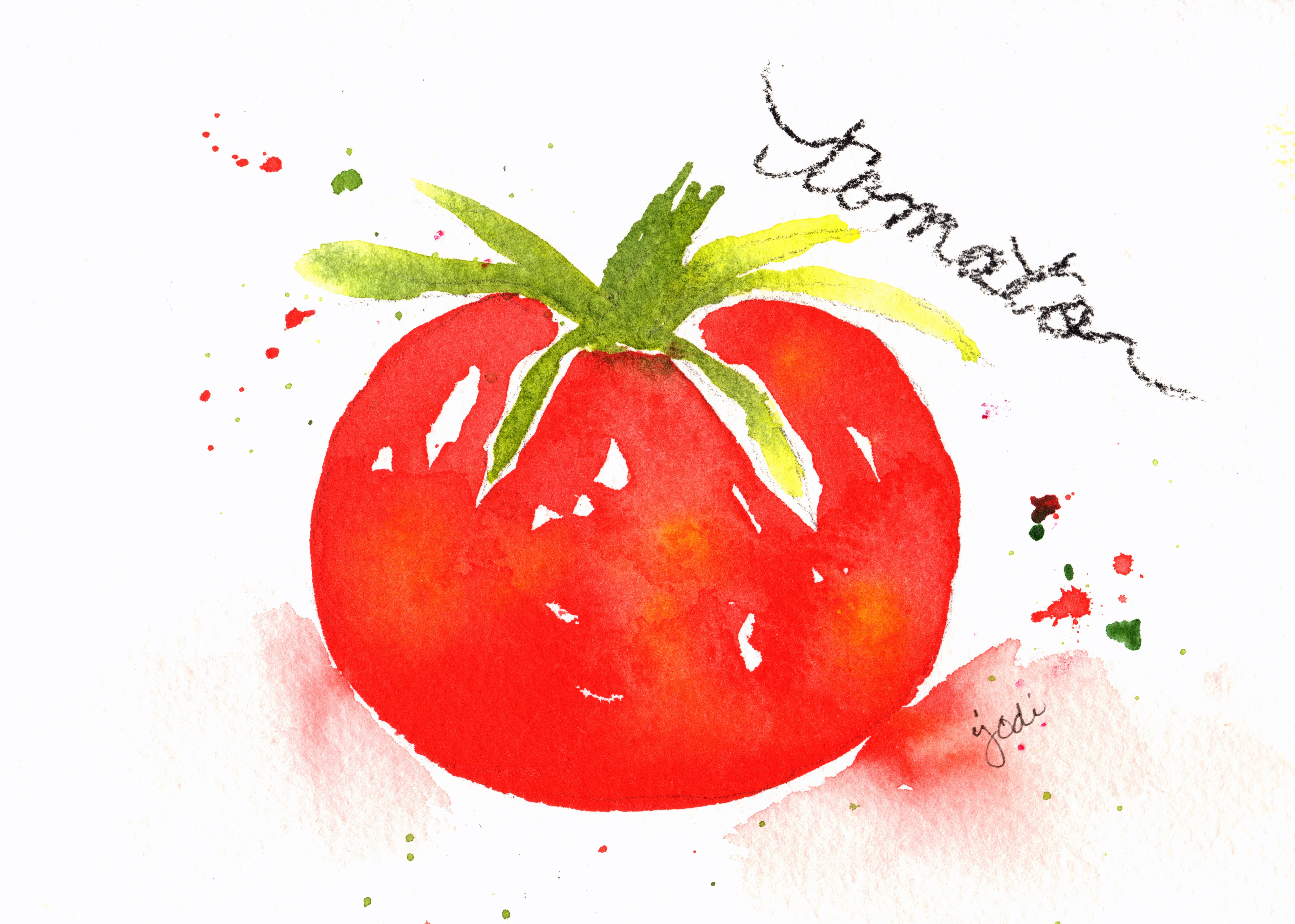 8593x6132 Creative Inspiration In Food, Watercolor, Photography, Writing And - Tomato Watercolor