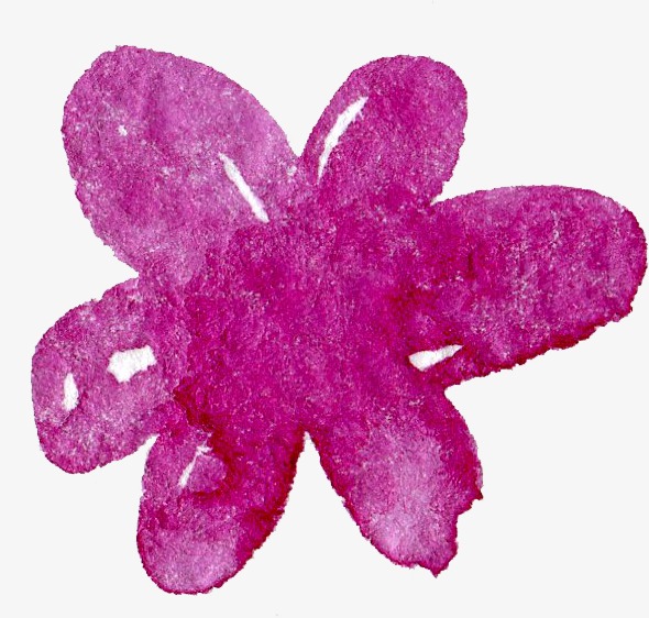 590x562 Transparent Background Floral Botanical Watercolor Flowers - Transparent Watercolor