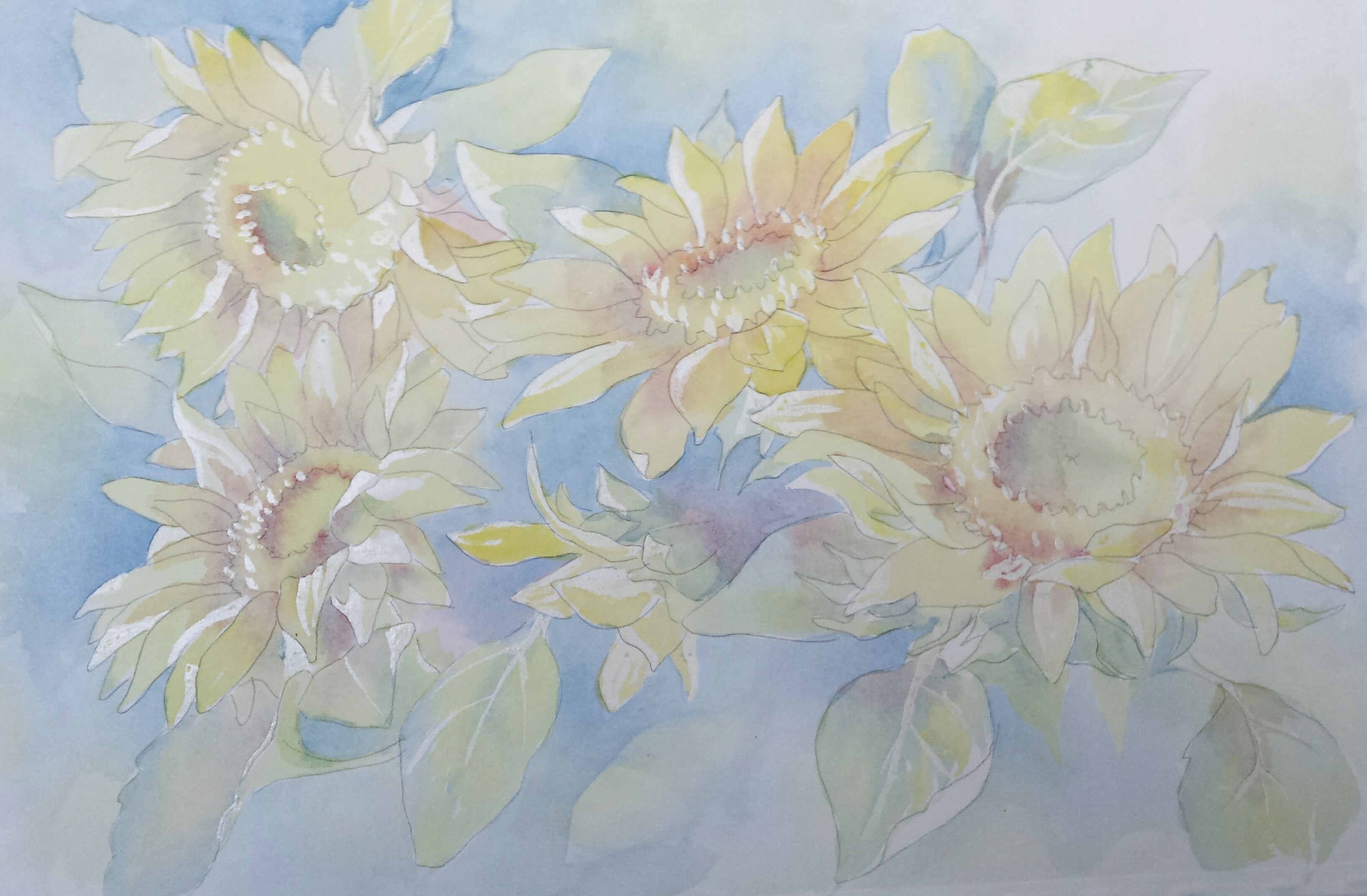 3268x2143 Blog - Transparent Watercolor Wheel