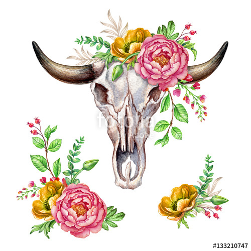 500x500 Watercolor Boho Illustration, Tribal, Cow Head Skull, Floral - Tribal Watercolor