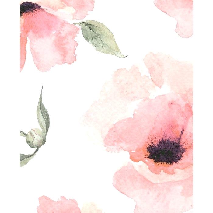 700x700 Poppy Wall Paper Watercolor Poppy Flowers 4 L X W Matte Peel And - Trolls Watercolor