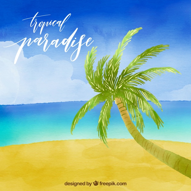 626x626 Download Vector - Tropical Beach Watercolor