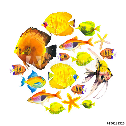 500x500 Round Composition With Tropical Fish. Watercolor Illustration With - Tropical Fish Watercolor
