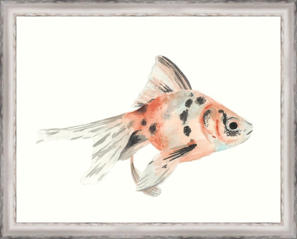 1015x815 Watercolor Tropical Fish I Framed Paper Art Print - Tropical Fish Watercolor