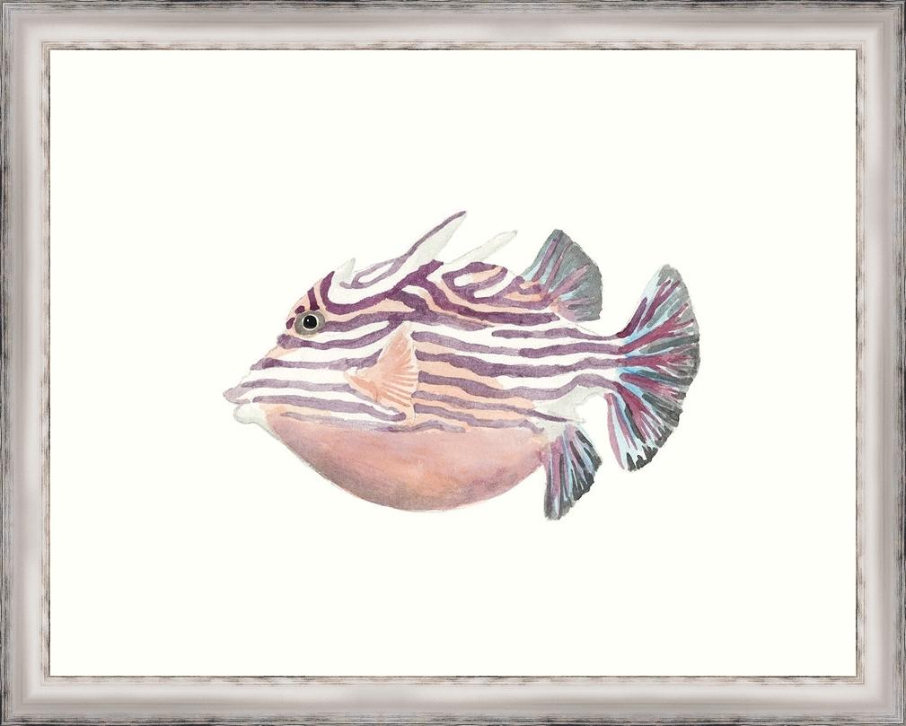 1009x809 Watercolor Tropical Fish Ii Framed Paper Art Print - Tropical Fish Watercolor