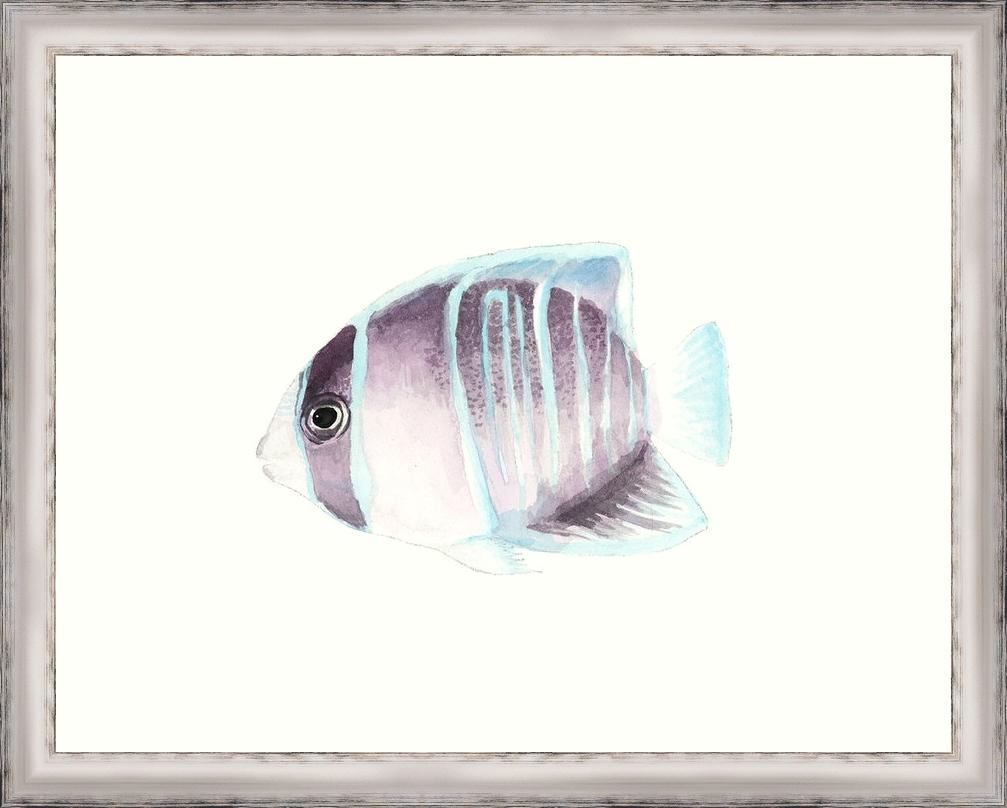 1007x808 Watercolor Tropical Fish Iii Framed Paper Art Print - Tropical Fish Watercolor