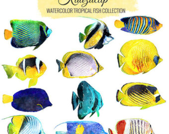 340x270 Watercolor Fish Etsy - Tropical Fish Watercolor