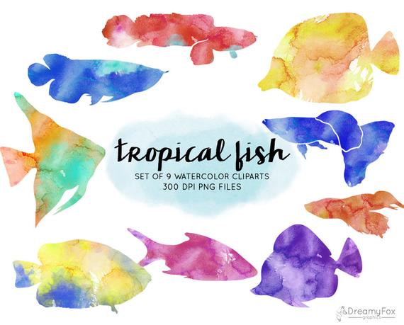 570x459 Watercolor Tropical Fish Clipart Tropical Fish Watercolor Etsy - Tropical Fish Watercolor