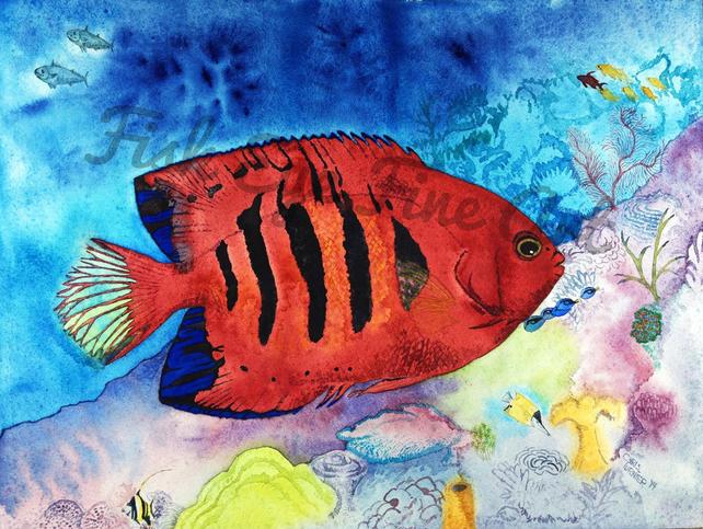 642x483 Flame Angel Fish Watercolor Art Tropical Fish Painting Limited Etsy - Tropical Fish Watercolor